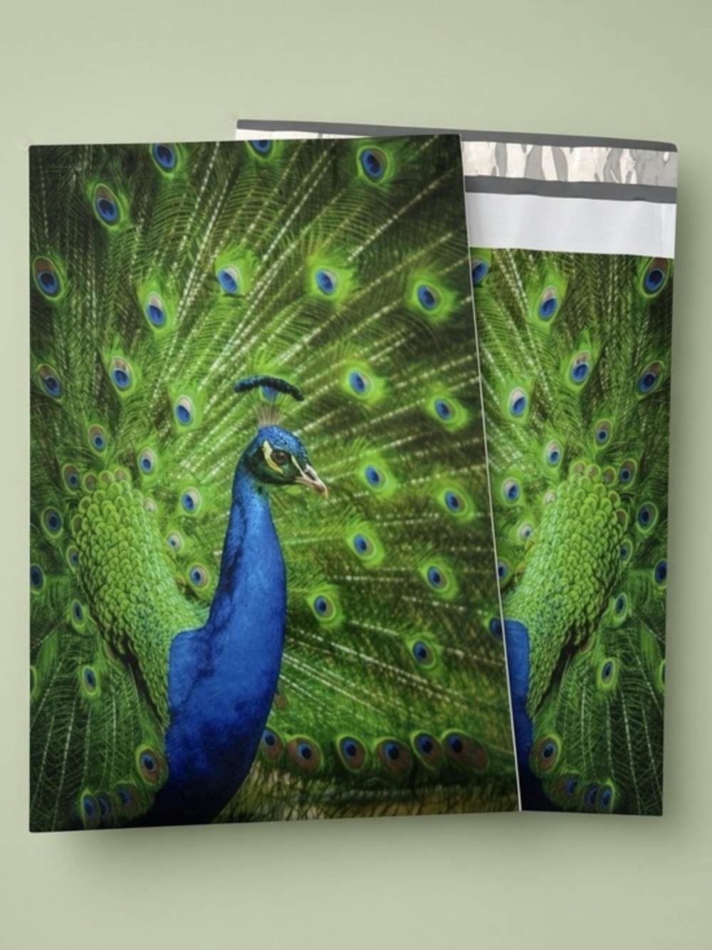 (10) 10x13 Peacock Poly Mailers